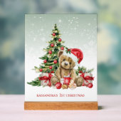 Teddybeer kleurrijke boom Baby 1e kerst Acryl Bord (Neutraal)