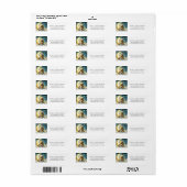 Teddybeer op Moon Glow Stars Baby shower Etiket (Full Sheet)