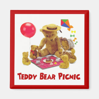 Teddybeer picknickmagneet magneet