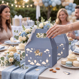 Teddybeer Piloot Hemel Avontuur Baby Shower Behand Bedankdoosjes