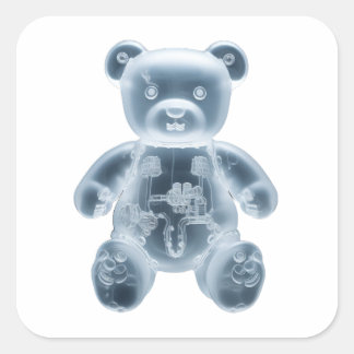 Teddybeer: RBT Vierkante Sticker