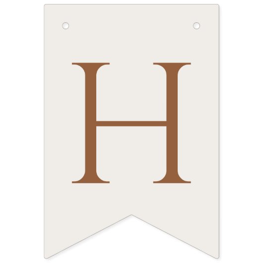 Teddybeer, roze ballonnen, eerste verjaardag vlaggetjes (Tweede vlag)