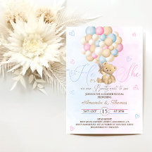 Teddybeer Roze Blauwe Geslacht Reveal