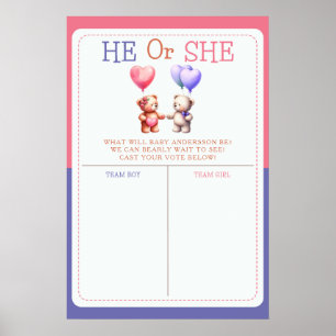 Teddybeer thema Geslacht onthullen stembord Poster