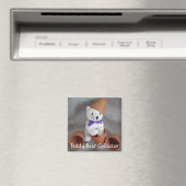 Teddybeer Verzamelaar Magneet (Insitu (Vaatwasser))
