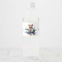 Teddybeer Vliegtuig Waterverf Jongens Baby Shower