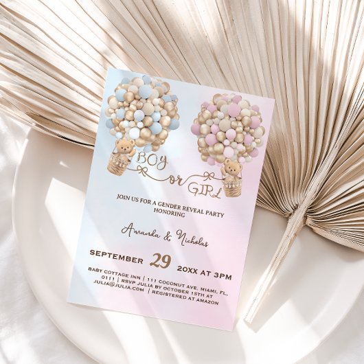 Teddybeer Zachte Roze & Blauwe Ballonnen Geslacht  Kaart