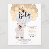 Teddybeerballonnen neutrale baby shower budget (Voorkant)
