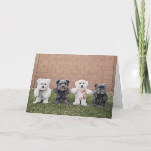 Teddyberen Kaart (Voorkant)