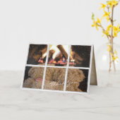 teddyberen met fireplace Dank je Kaart (Gele Bloem)