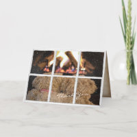 teddyberen met fireplace Dank je