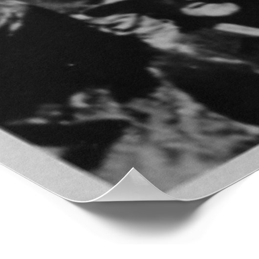 Teddy's Colts Teddy Roosevelt Rough Riders 1898 Poster (Hoek)