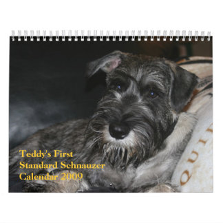 Teddy's First Standard Schnauzer Calendar 2009 Kalender