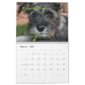 Teddy's First Standard Schnauzer Calendar 2009 Kalender (Feb 2027)