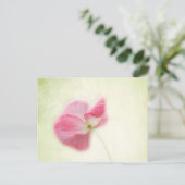 teder papaver briefkaart (Staand voorkant)