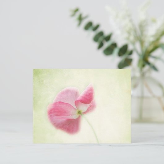 teder papaver briefkaart (Staand voorkant)