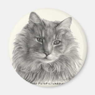 TeeGee, grijze kat met lange adem Magneet