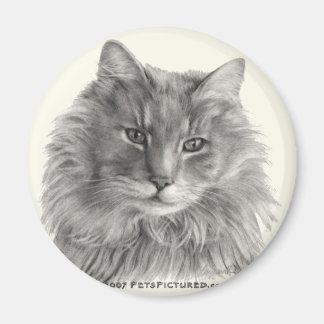 TeeGee, langharige grijze kat Magneet