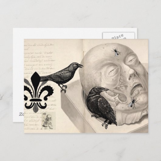 Teelt en kadavers briefkaart (Voorkant / Achterkant)