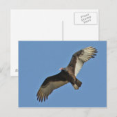 Teelt in Turkije Briefkaart (Voorkant / Achterkant)