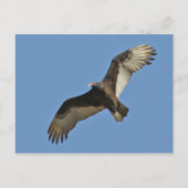 Teelt in Turkije Briefkaart (Voorkant)