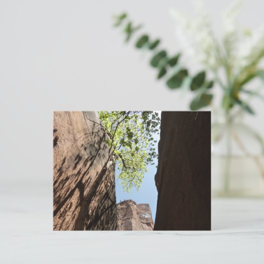 Teelt tussen rotsen in het natuurpark Zion Briefkaart (Staand voorkant)