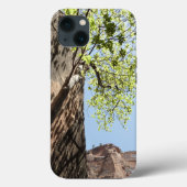Teelt tussen rotsen in het natuurpark Zion Case-Mate iPhone Case (Achterkant)