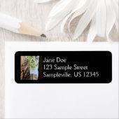 Teelt tussen rotsen in het natuurpark Zion Etiket (Insitu)