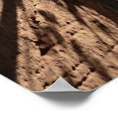 Teelt tussen rotsen in het natuurpark Zion Poster (Hoek)