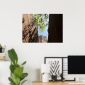 Teelt tussen rotsen in het natuurpark Zion Poster (Thuiskantoor)