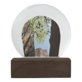 Teelt tussen rotsen in het natuurpark Zion Sneeuwbol (Achterkant)