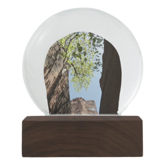 Teelt tussen rotsen in het natuurpark Zion Sneeuwbol (Voorkant)