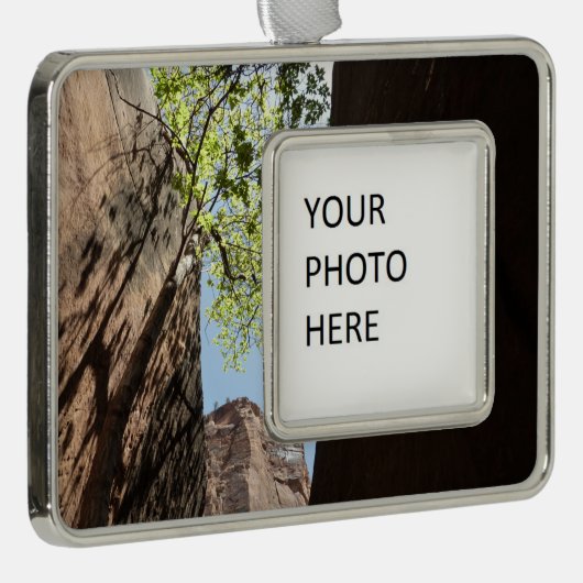 Teelt tussen rotsen in het natuurpark Zion Verzilverd Omlijst Ornament (Rechts)