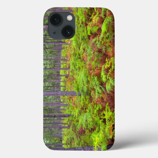 Teelt van gewone gebroken bomen (Pteridium Aquilin Case-Mate iPhone Case (Achterkant)