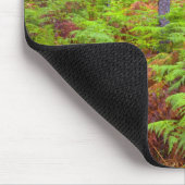 Teelt van gewone gebroken bomen (Pteridium Aquilin Muismat (Hoek)