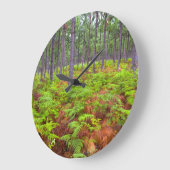 Teelt van gewone gebroken (teridium aquilinum) grote klok (Hoek)