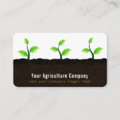 Teelt van zaailingen in de bodem Landbouw Tuinbouw Visitekaartje (Voorkant)