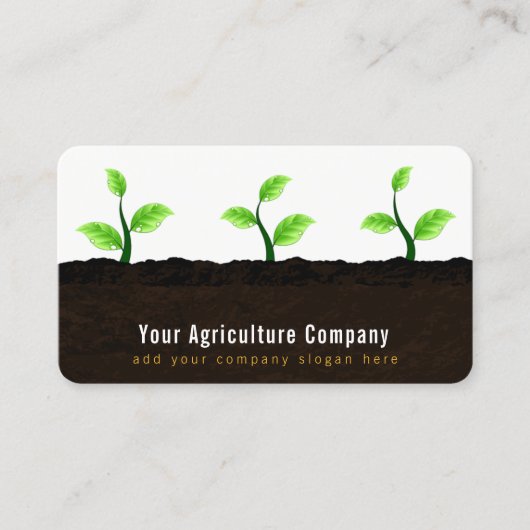 Teelt van zaailingen in de bodem Landbouw Tuinbouw Visitekaartje (Voorkant)