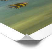 Teenage Mermaid Poster (Hoek)