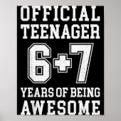 Teenager Funny 6 7 13th Birthday  Poster (Voorkant)