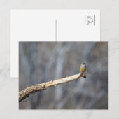 Teenie Tiny Briefkaart (Voorkant / Achterkant)