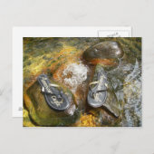 Teenslippers in het voorjaar briefkaart (Voorkant / Achterkant)