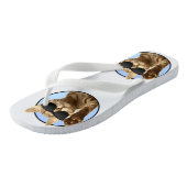 Teenslippers met koude katten (Schuin)