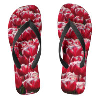 Teenslippers van het rode witte Tulpenpatroon