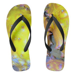 Teenslippers van onkruidenierswaren