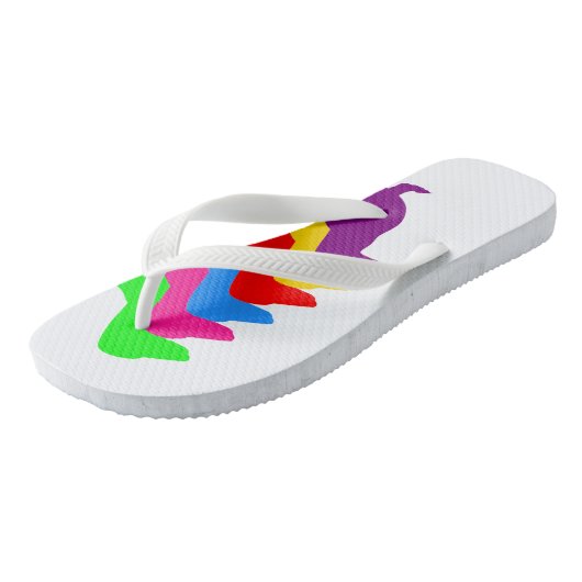 Teenslippers voor regenboogdachshund (Schuin)