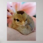 Teeny in de hand poster (Voorkant)