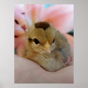 Teeny in de hand poster