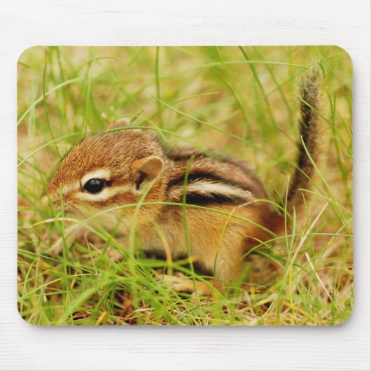 Teeny Tiny Baby Chipmunk Muismat (Voorkant)