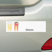 Teeth Anatomy Bumpersticker (Op auto)